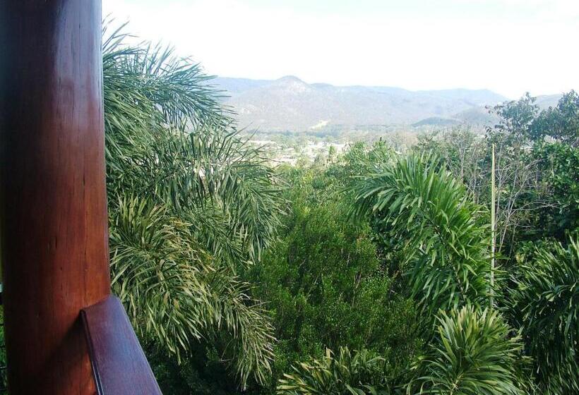带山景的复式房间, The Summit Bed & Breakfast