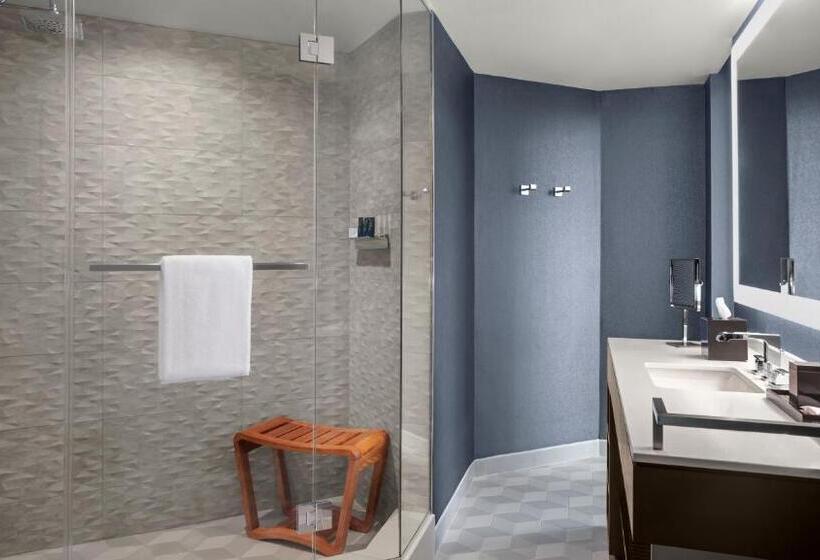 带阳台的豪华间, Hyatt Centric Brickell Miami