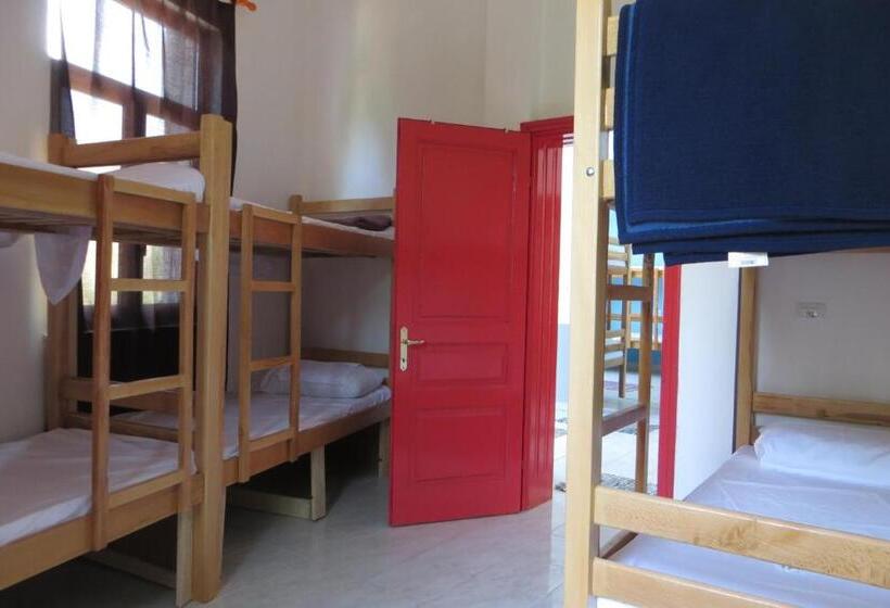 سرير فى غرفة مشتركه, Hostel Durres