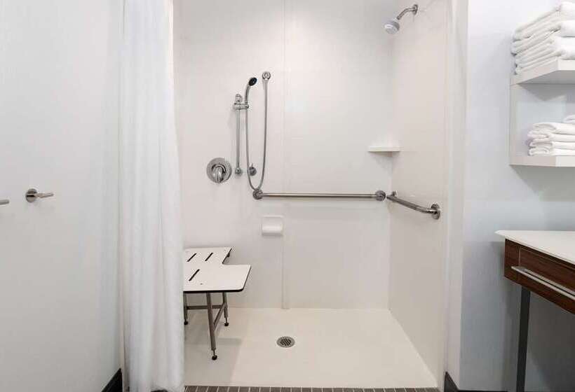 اتاق استاندارد با تخت بزرگ, Hampton Inn & Suites Atlanta/marietta