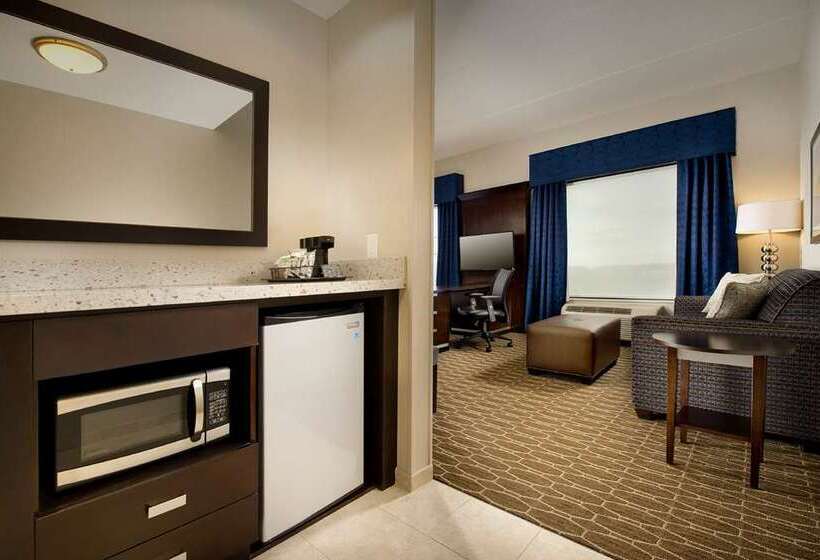 اتاق استاندارد با تخت بزرگ, Hampton Inn & Suites Atlanta/marietta