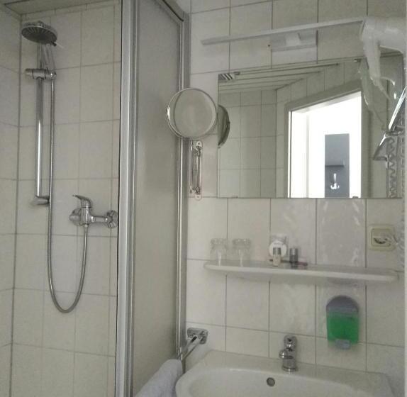 Номер Deluxe Одноместный, Waldhaus Pulsnitz