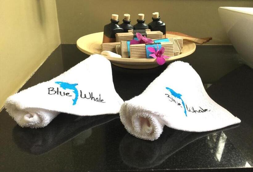 کلبه ییلاقی, Blue Whale Resort & Kite Surfing