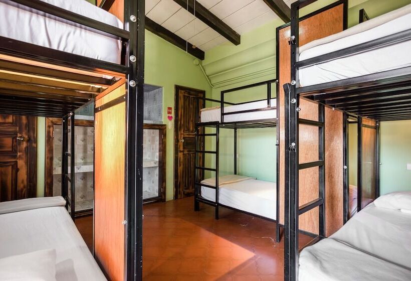 تختخواب در اتاق مشترک, Socialtel Antigua   Formerly Selina Antigua