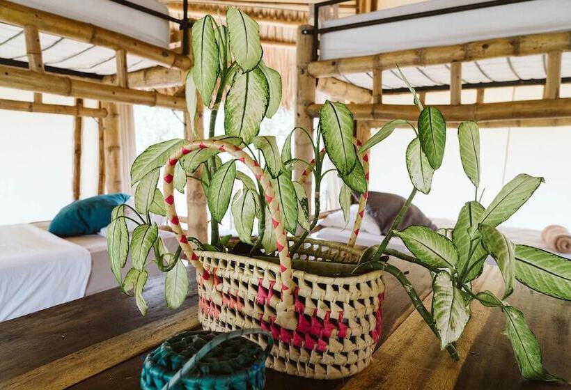 共用房间的床, Dreamsea Surf Resort Nicaragua