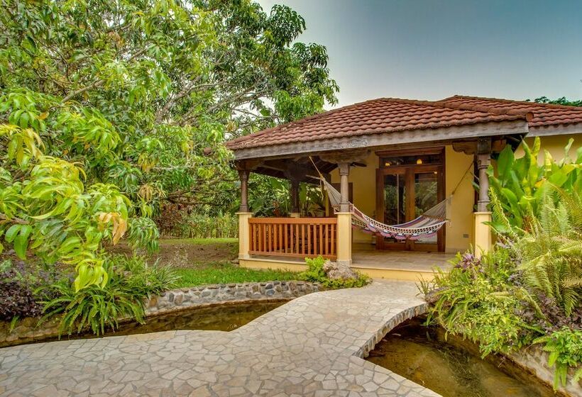 اتاق استاندارد, Sleeping Giant Rainforest Lodge