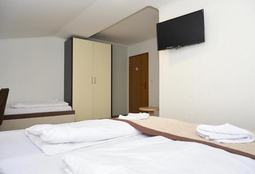 اتاق لوکس با چشم‌انداز باغ, Motel Plaza