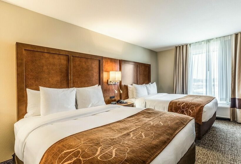 סוויטה, Comfort Suites