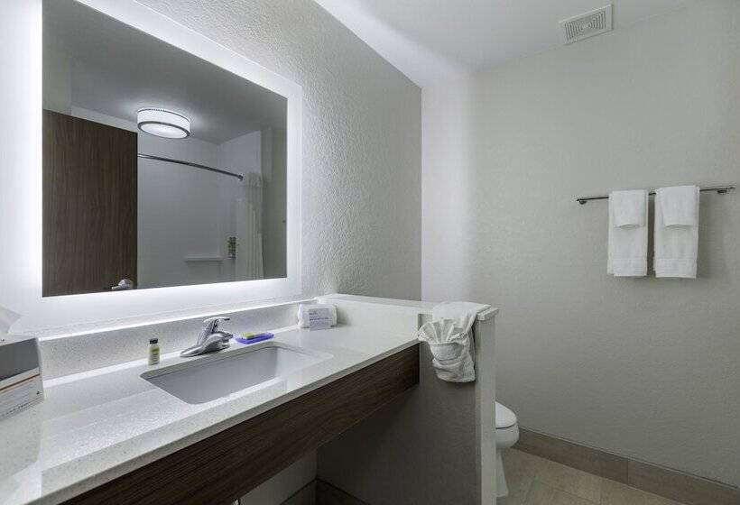 Люкс Адаптированный для Инвалидов, Holiday Inn Express & Suites   San Marcos South, An Ihg