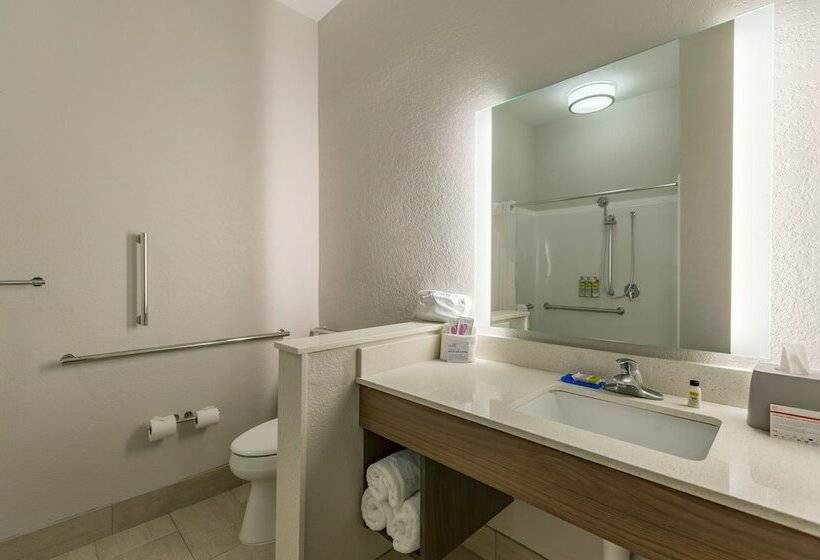 Люкс, Holiday Inn Express & Suites   San Marcos South, An Ihg