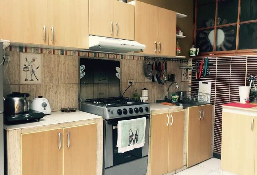 공동 객실, Blacky Hostel And Apartments