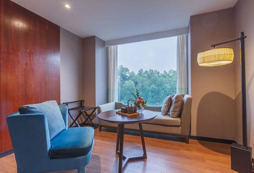 豪华房间, Jolie Vue Boutique Guilin