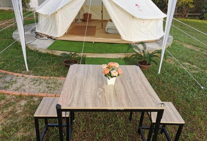 Standard Tent, Stayktion