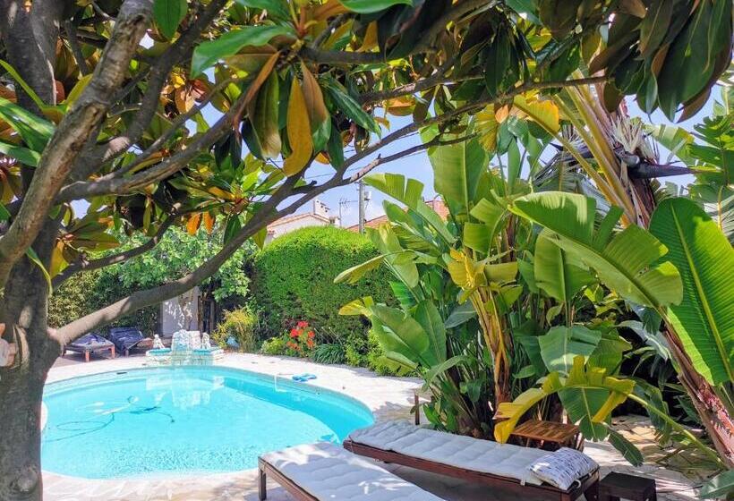 חדר סופריור עם מיטת קינג, Blue Dream Cannes Guest House