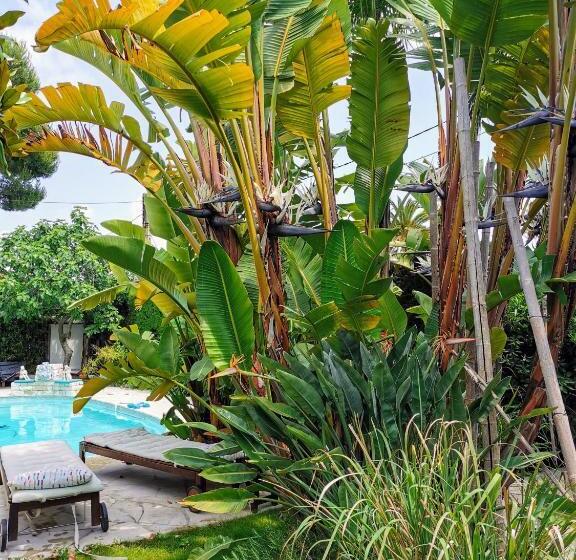 חדר סטנדרט נוף לבריכה, Blue Dream Cannes Guest House