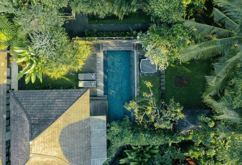Люкс Премиум, Surya Kembar Villas