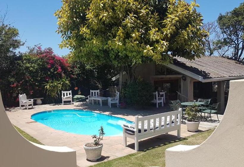 스탠다드 룸 풀장 전망, Villa Vista Guest House
