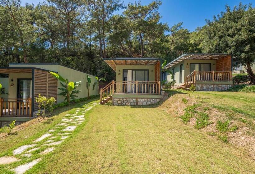 Люкс Deluxe Вид на Море, Sea Valley Lodge