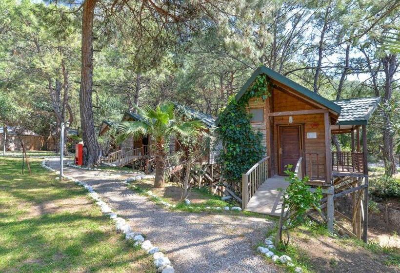 Номер Стандарт Вид на Море, Sea Valley Lodge