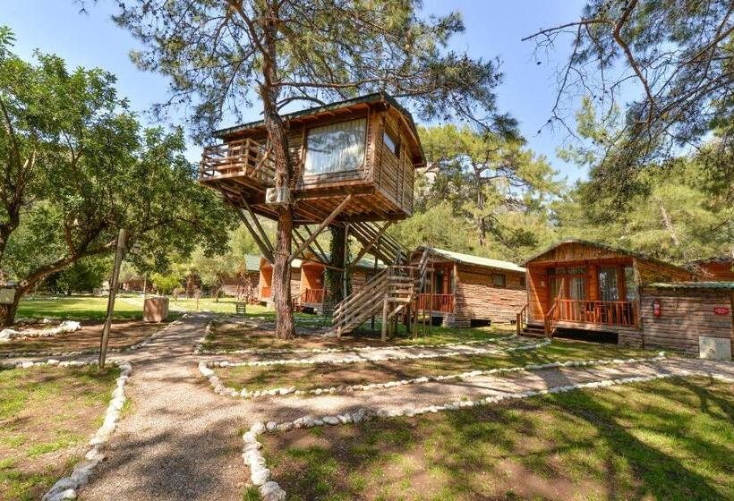 Дом 1 Спальня, Sea Valley Lodge