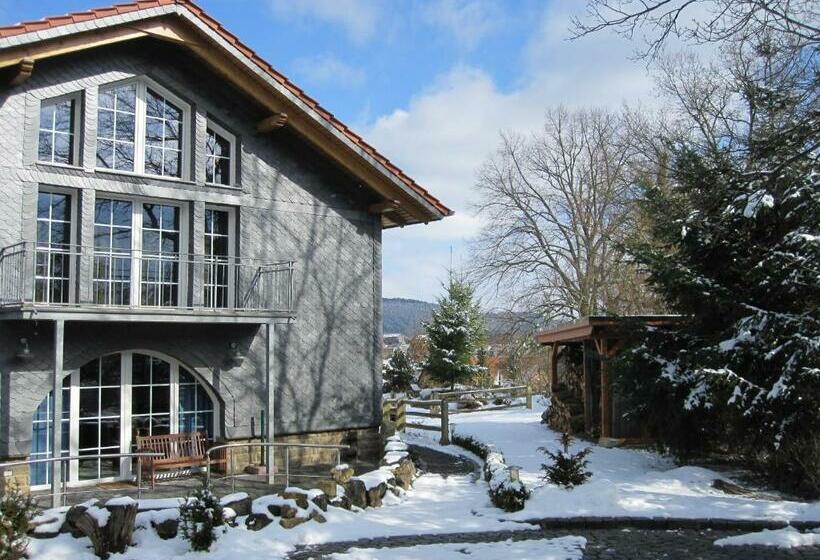 Номер Стандарт, Urlaubspension 'hohes Rott' Und Apartmenthaus