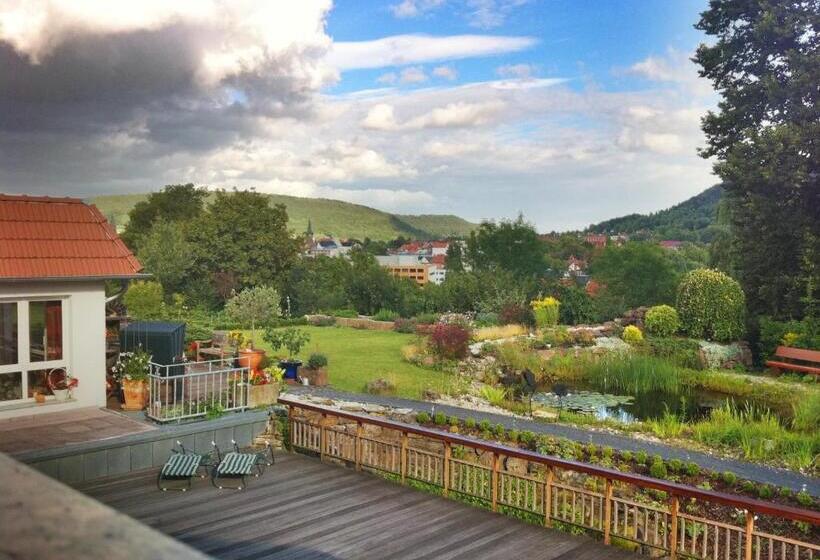 Студия Стандарт, Urlaubspension 'hohes Rott' Und Apartmenthaus