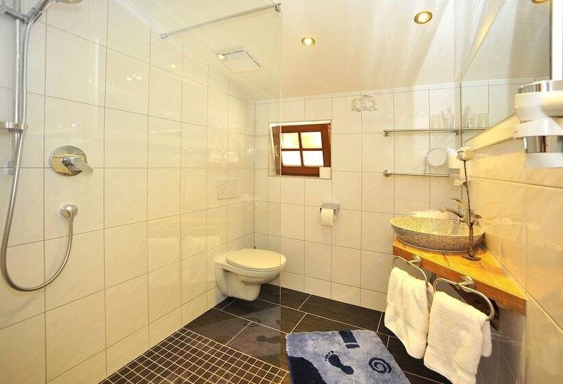 اتاق کلاسیک یک تخته, Resort Alt ötztal