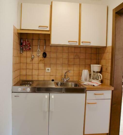Студия Стандарт, Scheibenhof