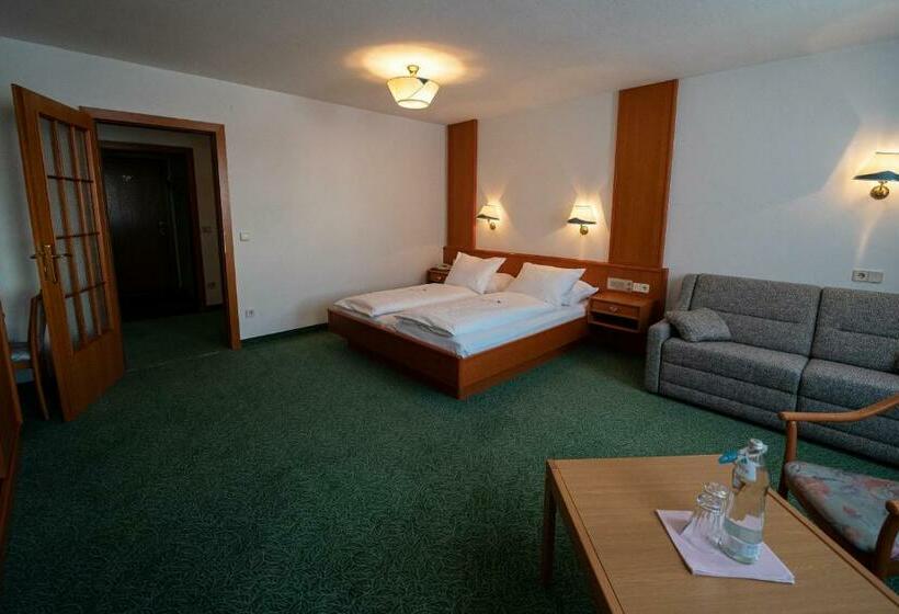 高级大房间, Apparthotel Samson