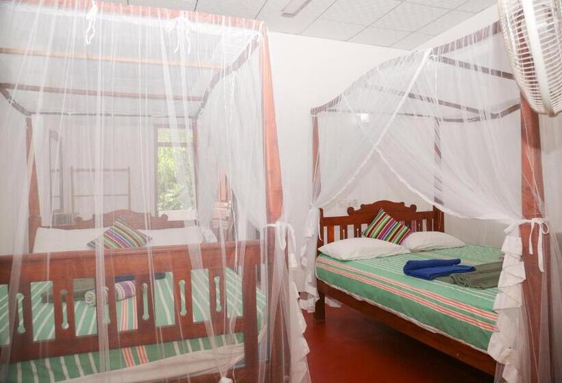 اتاق خانوادگی, Tithira Guest House