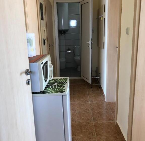 Апартаменты 3 Спальни, Borko Guest House