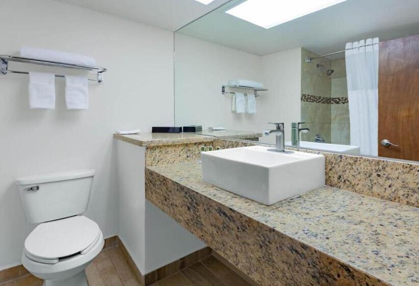 商务房间, Days Inn By Wyndham Piedras Negras