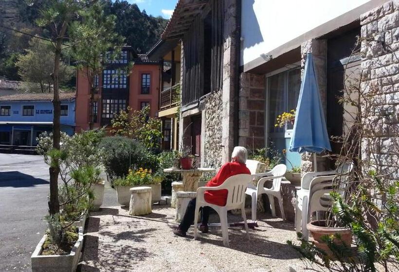 バスルーム共有のシングルスタンダード, Pension Paulina