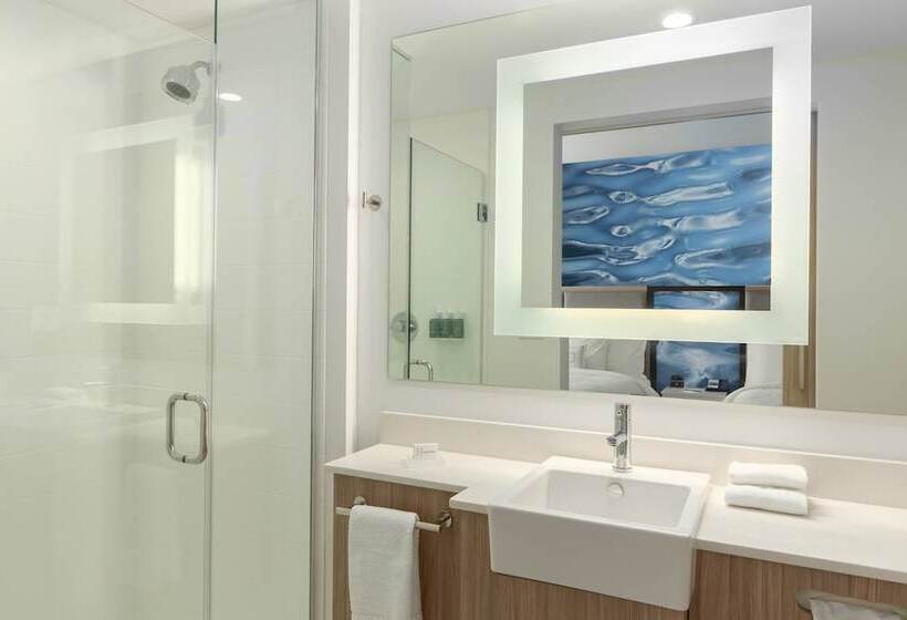 סוויטה עם נוף, Springhill Suites By Marriott Bradenton Downtown/riverfront