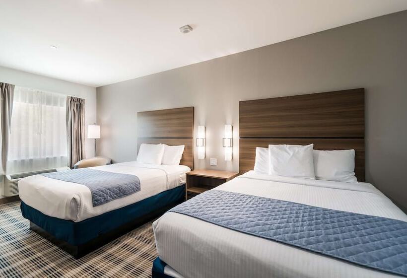 Номер Deluxe, Americas Best Value Inn & Suites Porter North Houston