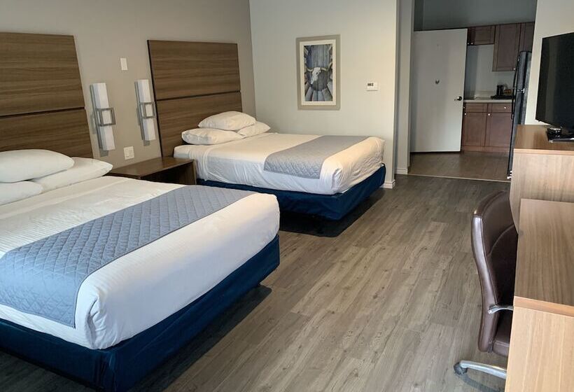 Номер Deluxe, Americas Best Value Inn & Suites Porter North Houston