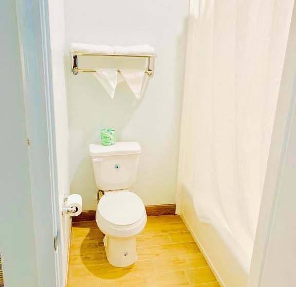 キングサイズベッドのスタンダードルーム, Americas Best Value Inn & Suites Porter North Houston