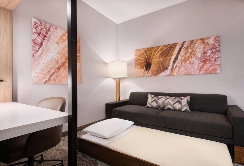 스위트, Springhill Suites By Marriott Tifton