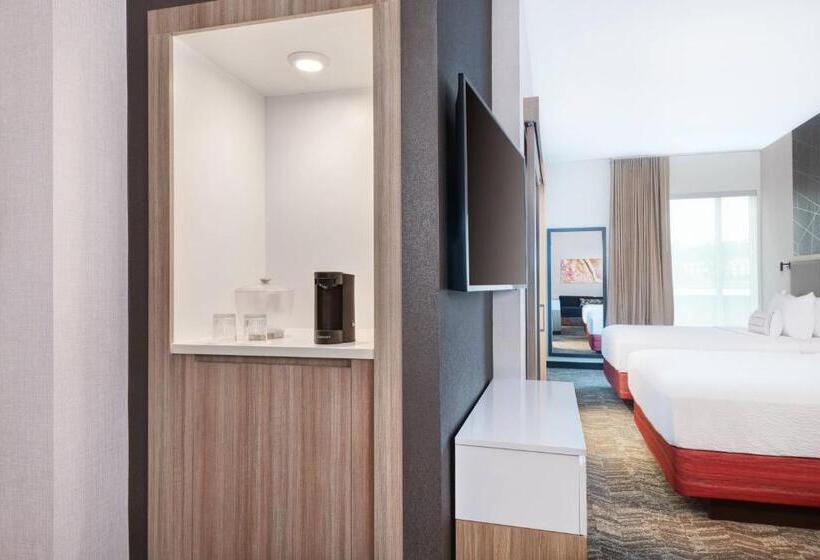 장애인을 위한 스위트, Springhill Suites By Marriott Tifton
