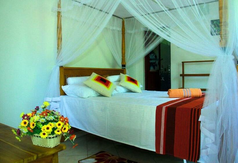 اتاق لوکس, Thusitha S Nest