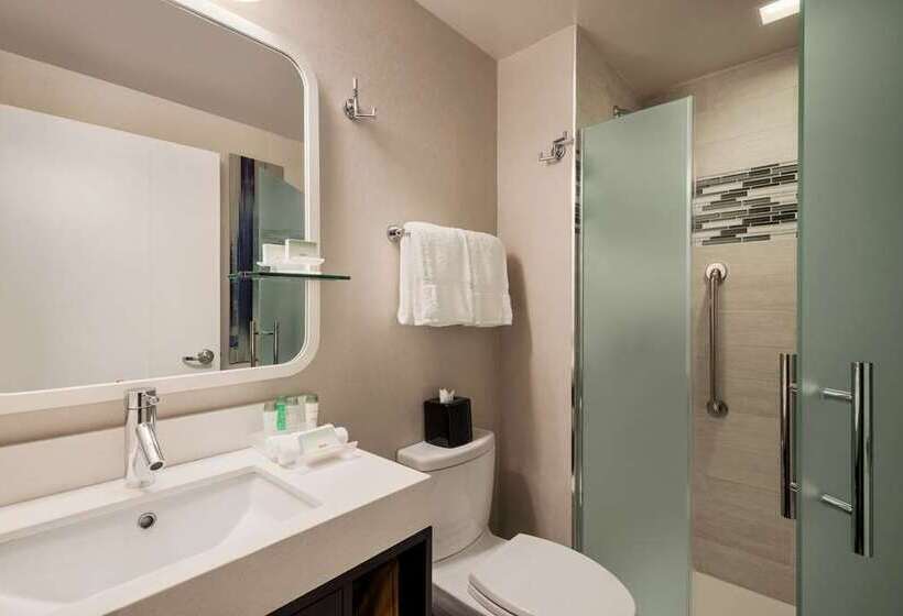 Студио Стандарт Кровать Кинг, Home2 Suites By Hilton Tampa Downtown Channel District