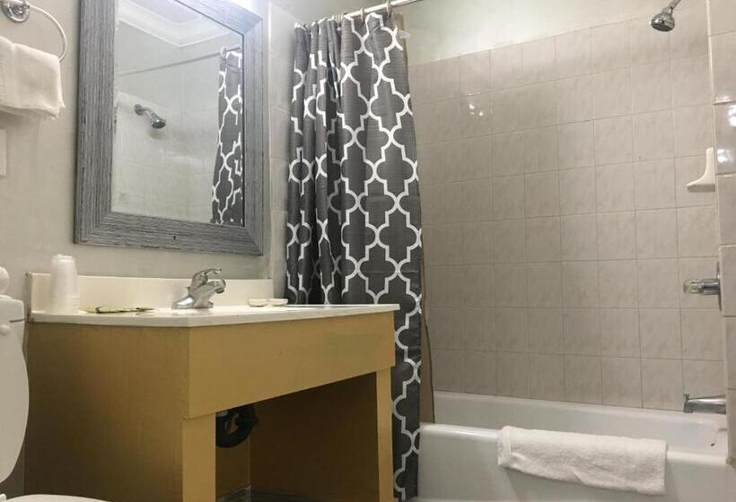 带大床的标准间, Villa Park Motel