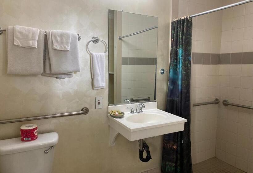 Номер Стандарт, Villa Park Motel