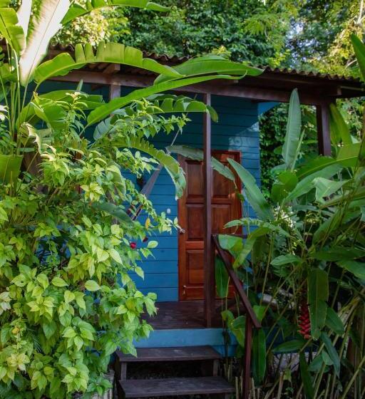ویلای استاندارد با چشم‌انداز باغ, Alice Guesthouse