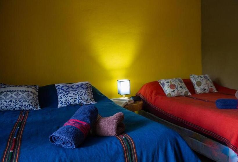 اتاق استاندارد چهار تخته, Alice Guesthouse