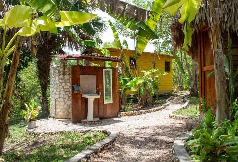 اتاق استاندارد چهار تخته, Alice Guesthouse