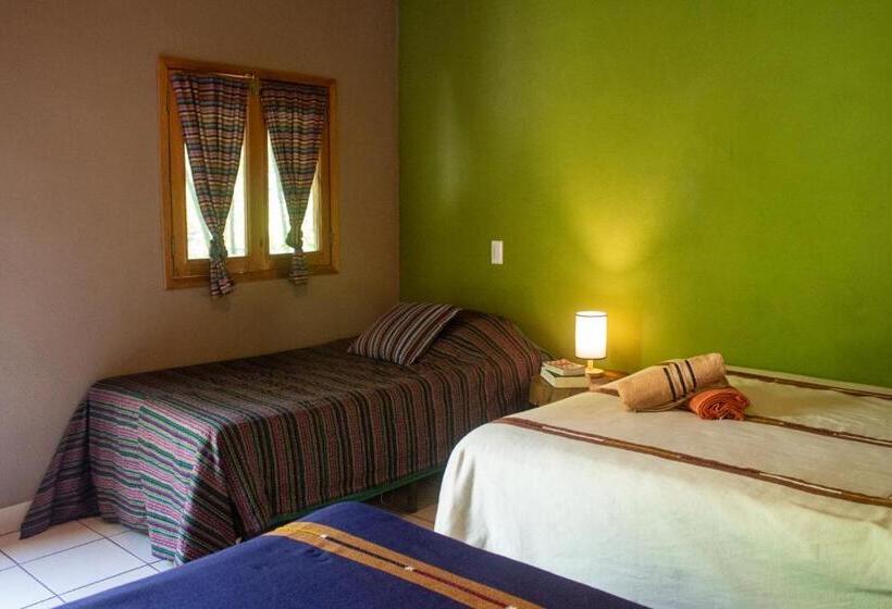 اتاق استاندارد چهارنفره با چشم‌انداز باغ, Alice Guesthouse