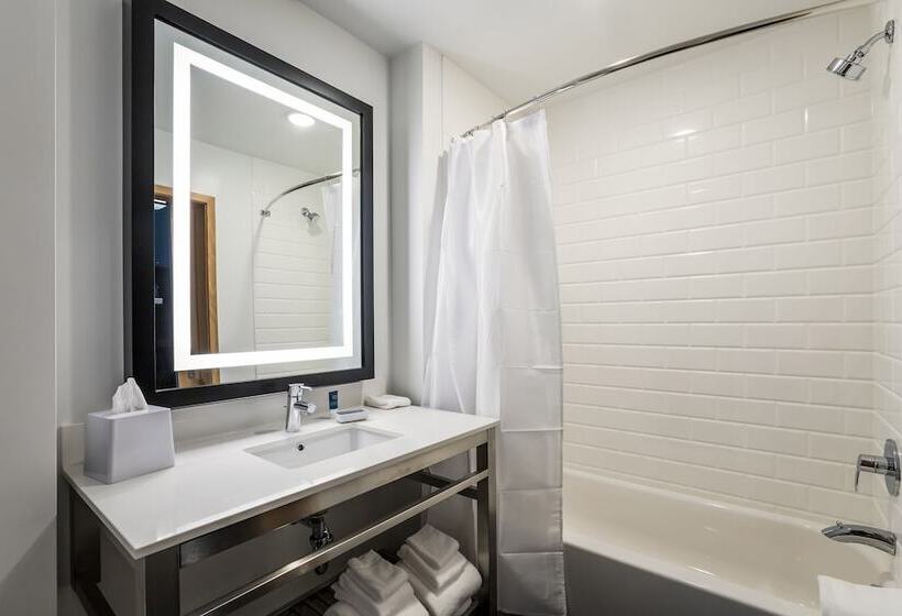 带城市景观的套间, Four Points By Sheraton Elkhart