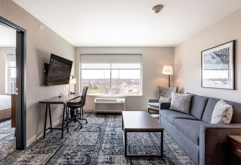 带城市景观的套间, Four Points By Sheraton Elkhart