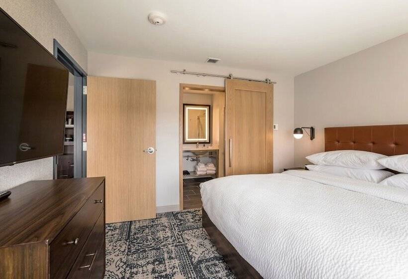 带城市景观的套间, Four Points By Sheraton Elkhart